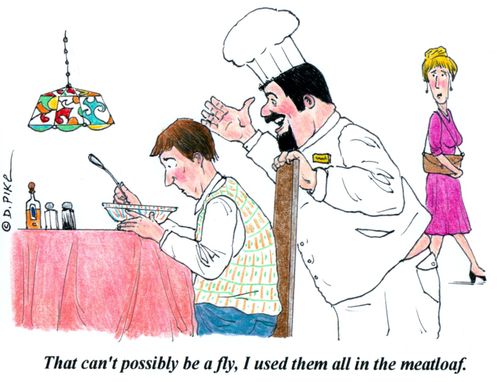 'That can't be a fly, I used them all in the meatloaf.'