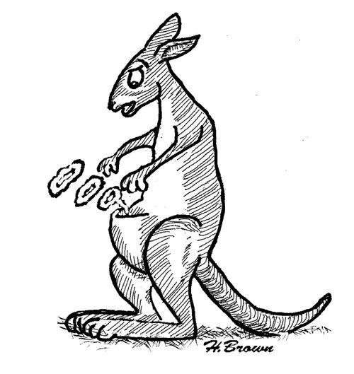 Kangaroo with a smoking baby.