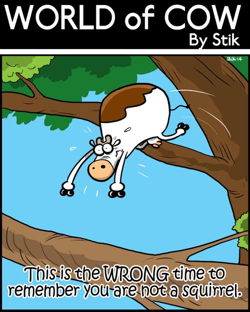 This is the WRONG time to remember you are not a squirrel.