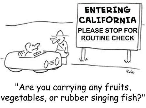 Are you carrying any fruits, vegetables or rubber singing fish.