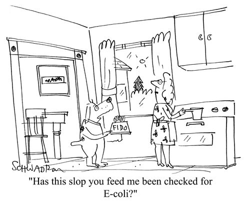 'Has this slop you fed me been checked for e-coli?'