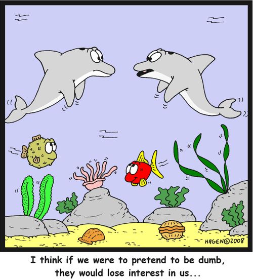 'I think if we were to pretend to be dumb, they would lose interest in us...'