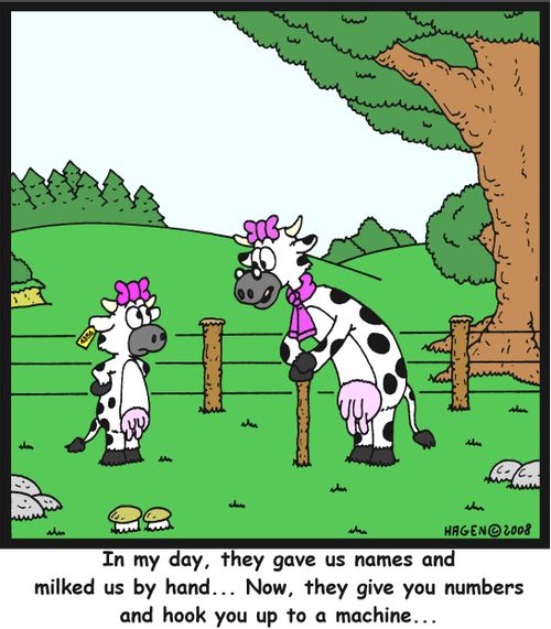'In my day, they gave us names and milked us by hand... Now, they give you numbers and hook you up to a machine...'