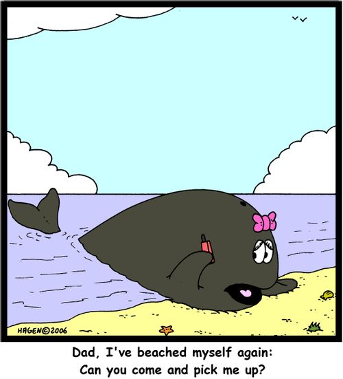 'Dad, I've beached myself again: Can you come and pick me up?'