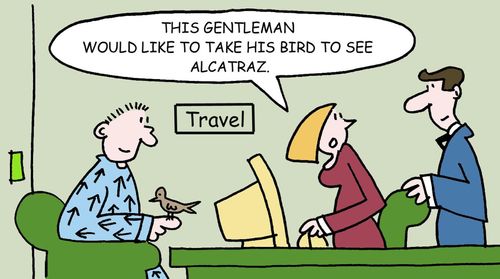 This gentleman would like to take his bird to see Alcatraz.
