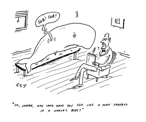 'So Jonah, how long have you felt like a man trapped inside a whale's body?'