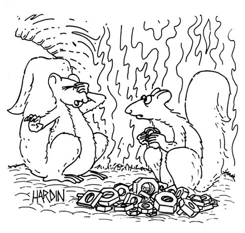 Squirrel collecting the wrong sort of nuts.