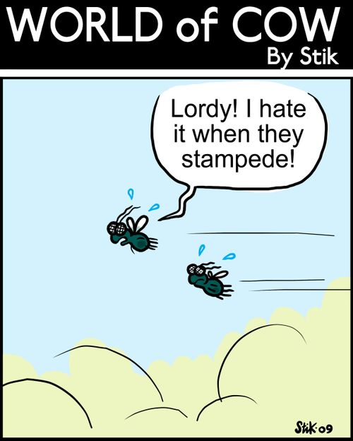 Lordy! I hate it when they stampede!