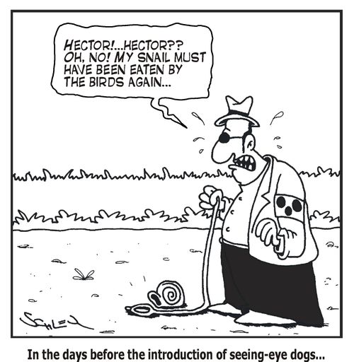 In the days before the introduction of seeing-eye dogs...