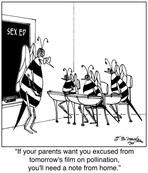 'If your parents want you excused from tomorrow's film on pollination, you'll need a note from home.'
