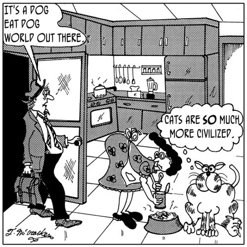 A cat hearing a man say, 'It's a dog eat dog world out there,' thinks, 'Cats are SO much more civilized.'