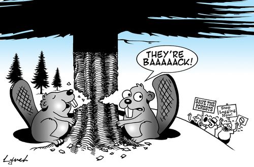 Save the Forests!