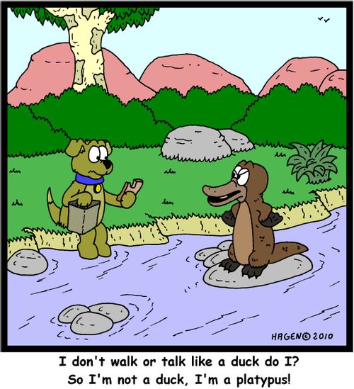 'I don't walk or talk like a duck do I? So I'm not a duck, I'm a platypus!'