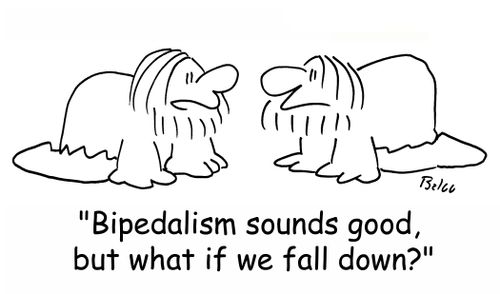 'Bipedalism sounds good, but what if we fall down?'