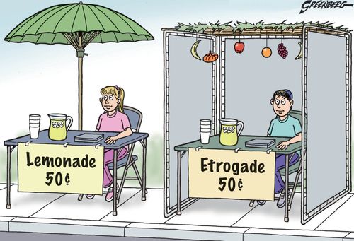 Lemonade and Etrogade Stands