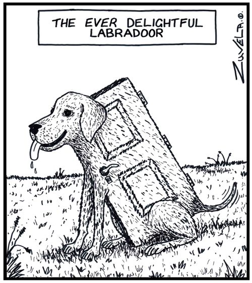 The ever delightful Labradoor.