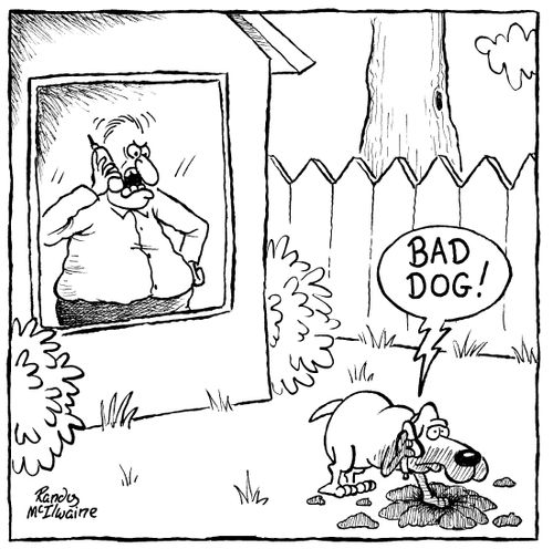 A man calls his dog on his cell to scold him for digging up the lawn.