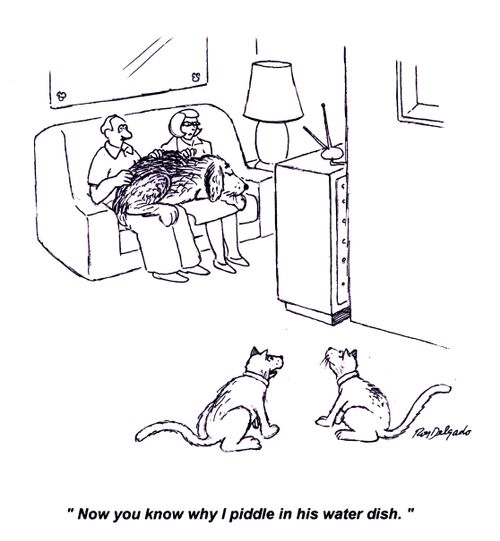 'Now you know why I piddle in his water dish.'