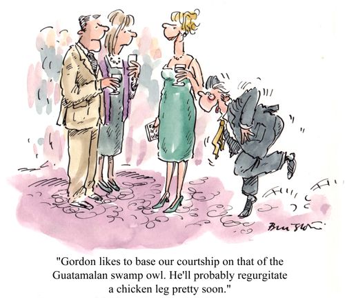 'Gordon likes to base our courtship on that of the Guatamalan swamp owl...'