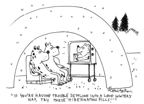 'If you're having trouble settling into a long winter's nap, try these 'hibernaton pills'!'
