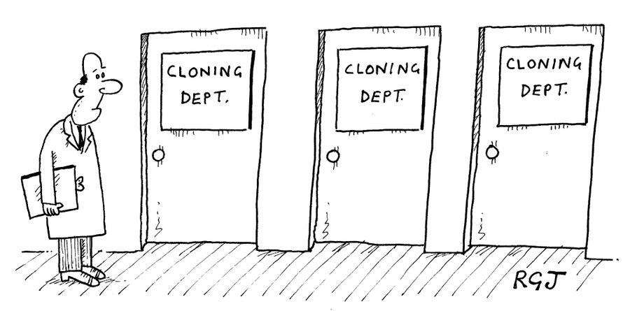 Cloning departments