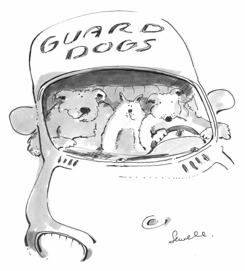 Guard dogs