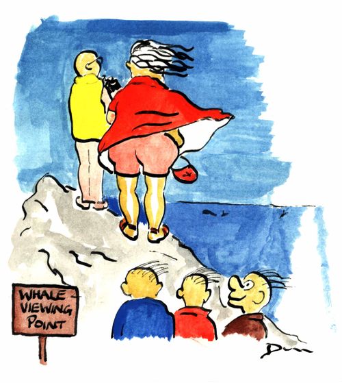 Whale Viewing Point