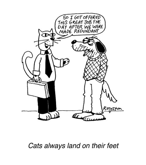 Cats Always Land on Their Feet, "So I got this great job the day after we were made redundant"