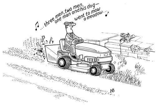 Mowed Dog