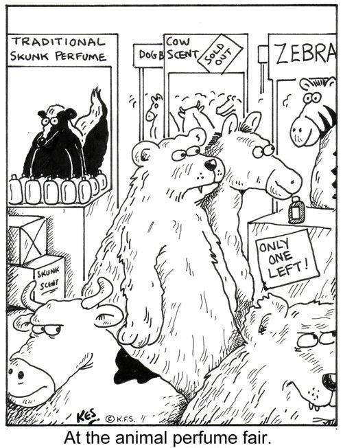 At the animal perfume fair.