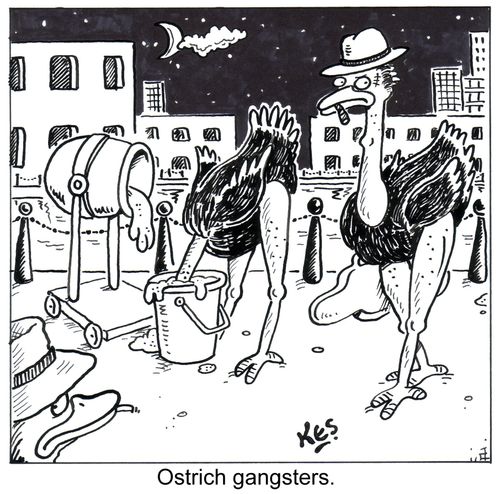 Ostritch Gangsters.