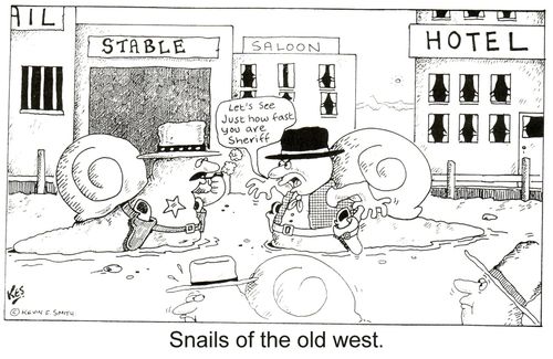 Snails of the old west.