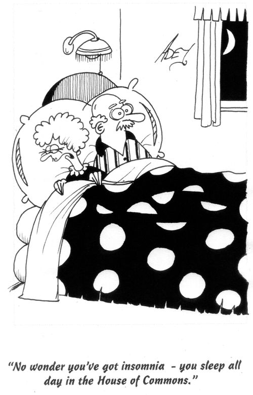 'No wonder you've got insomnia - you sleep all day in the House of Commons.'