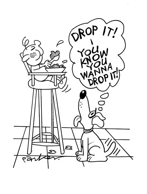 Dog - 'Drop it! You know you wanna drop it!'