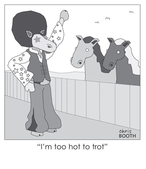 'I'm too hot to trot.'