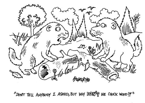 'Don't tell anybody I asked, but why don't we chuck wood?!'