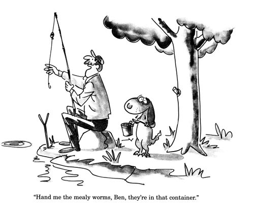 'Hand me the mealy worms, Ben, they're in that container.'