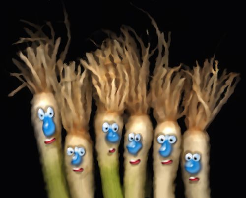 Stupid blue-nosed spring onions.