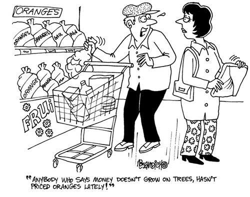 'Anybody who says money doesn't grow on trees, hasn't priced oranges lately!'