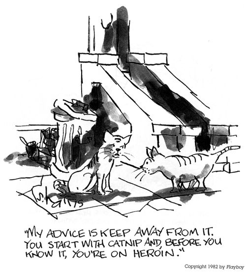 'My advice is keep away from it.  You start with catnip and before you know it, you're on heroin.'