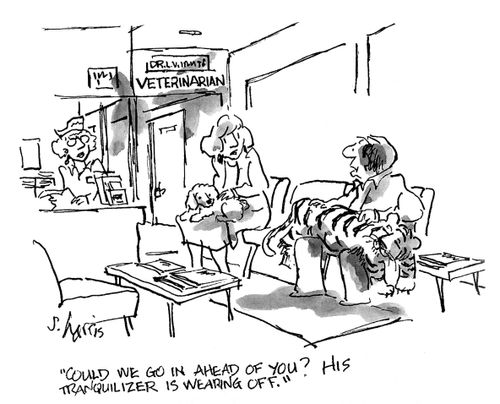 'Could we go in ahead of you?  His tranquilizer is wearing off.'