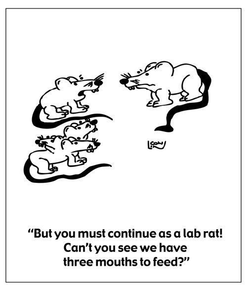 "But you must continue as a lab rat! Can't you see we have three mouths to feed?"