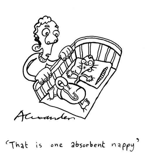 "That is one absorbent nappy."