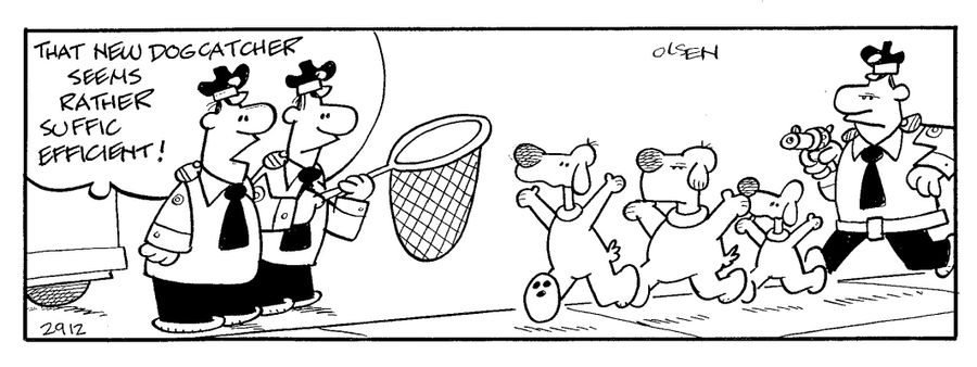 This new dogcatcher seems rather suffic efficient