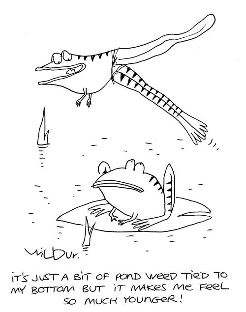 'It's just a bit of pond weed tied to my bottom but it makes me feel so much younger!'