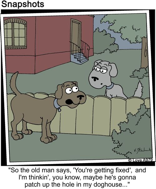 "So the old man says 'you're getting fixed,' and I'm thinkin', you know, maybe he's gonna patch up the hole in my doghouse..."
