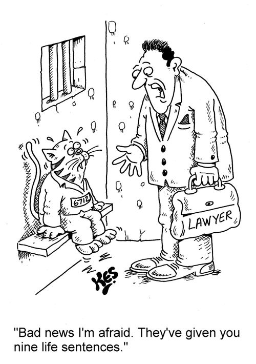 'Bad news I'm afraid. They've given you nine life sentences.'