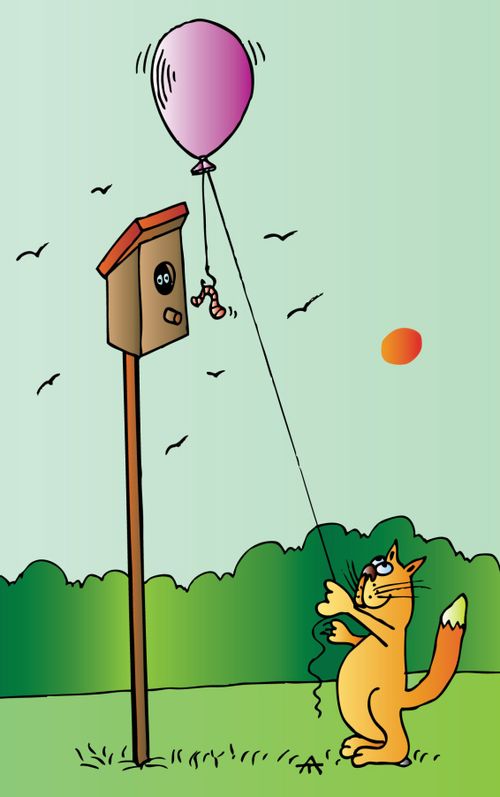 Cat Tries to Catch a Bird.
