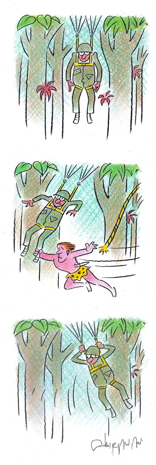 Swinging through the jungle.