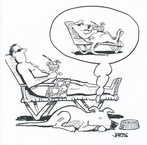 Dogs can dream too.